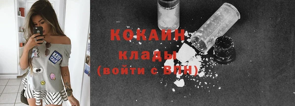 первитин Гусев