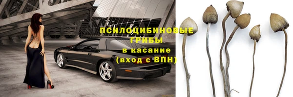 первитин Гусев