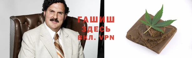 первитин Гусев