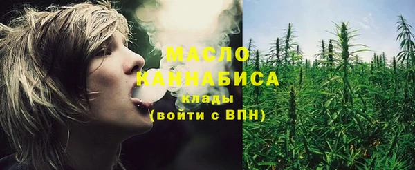 первитин Гусев