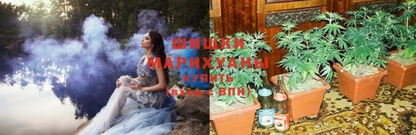 тгк Гусиноозёрск
