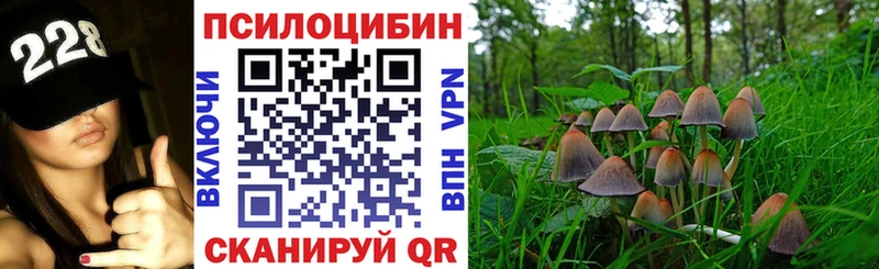 Псилоцибиновые грибы Cubensis  Зеленокумск 
